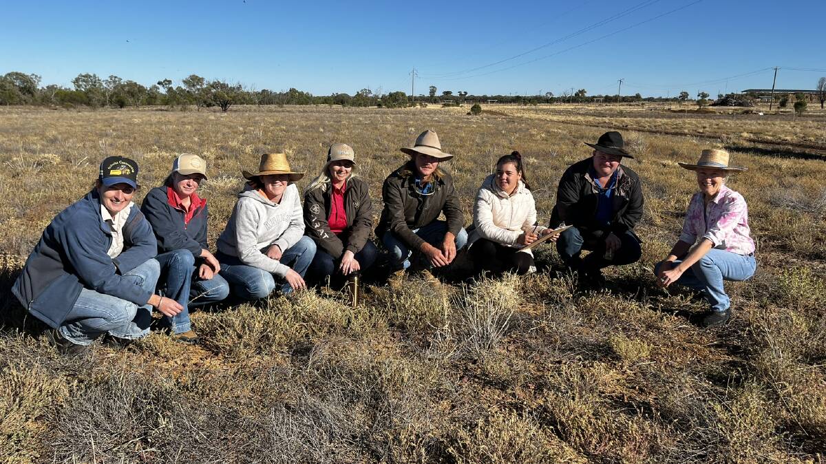 LEADAg Plus participants looking at pasture condition with Jenny Milson. Picture: Meg Bassingthwaighte