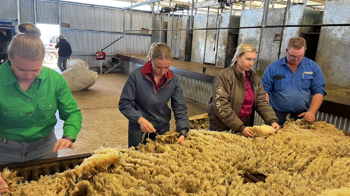 Learning about skirting fleeces at Bimerah, Stonehenge. Picture: Meg Bassingthwaighte
