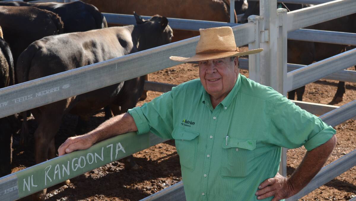 Rod Turner owned country at Roma, and had these cattle to sell through the Roma saleyards. Picture: Clare Adcock