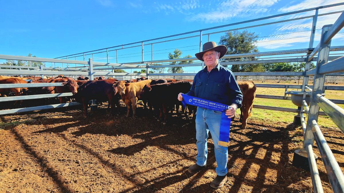 John Cameron, Romulus, Blackall and his prize-winning pen of weaner heifers. Picture: Sally Gall