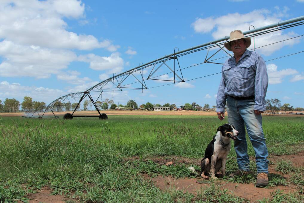 John Brownson pictured with some of his irrigated cultivation.