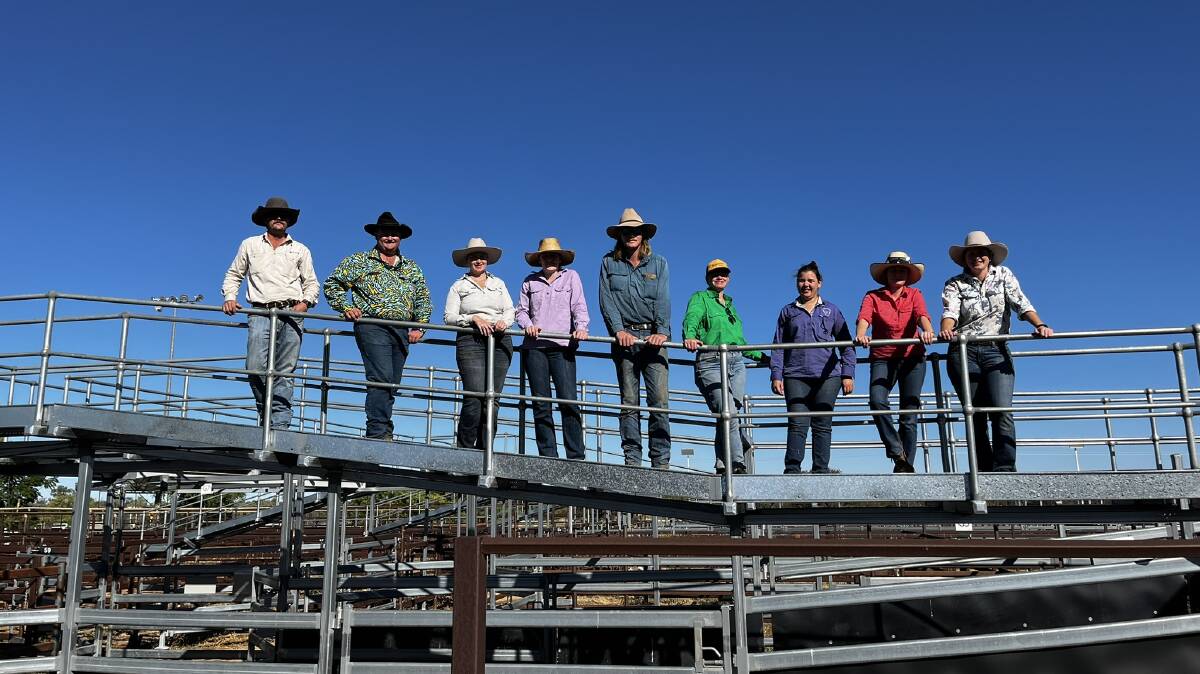 Getting a birds-eye view of the cattle selling complex at WQLX, Longreach. Picture: Meg Bassingthwaighte