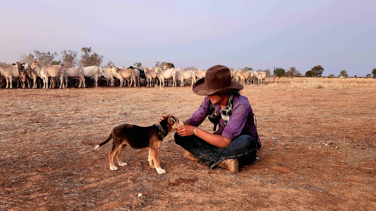 Cattle, pups, the wide open sky, and people from around Australia coming to help, are some of the attractions of the Great Aussie Charity Cattle Drive being planned. Picture: Sally Gall