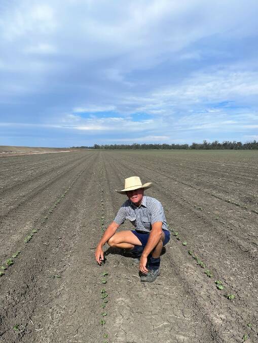 Dirranbandi cotton grower Jonathan Burrell says his community has suffered more than enough from water buybacks. Picture: Supplied
