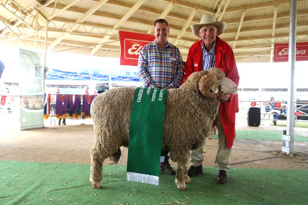 Queensland state sheep show all-purpose category judge Ric Power with the supreme exhibit, held by Nigel Brumpton, Mt Ascot Merino Stud. Picture: Sally Gall
