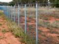 Exclusion fencing loan pays off at Balonne