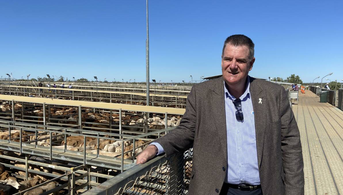 Queensland Agriculture Minister Mark Furner watching a cattle sale at the Roma Saleyards. Picture: Supplied