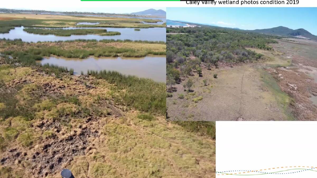 Damage to the Caley Valley wetlands in 2017. Picture: Supplied
