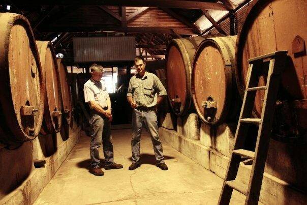 David and Richard Wall in the Romavilla wine cellar. Picture supplied.