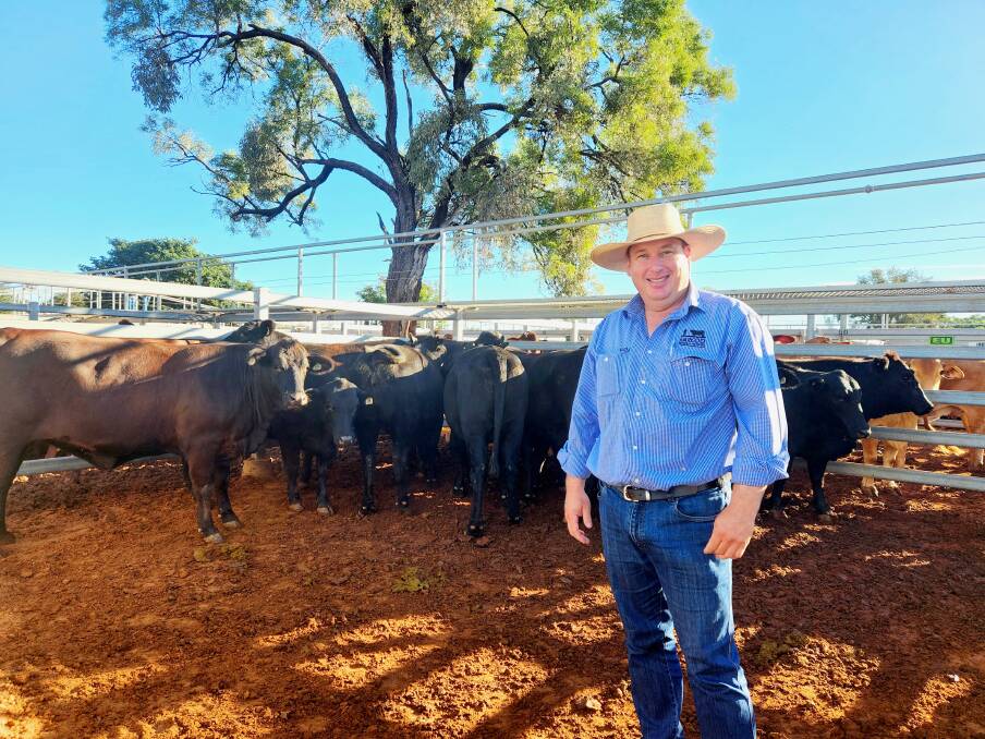 Tim Ludgate, Ruthven, Isisford, and his winning pen of Angus-Droughtmaster cross prime heifers. Picture: Sally Gall