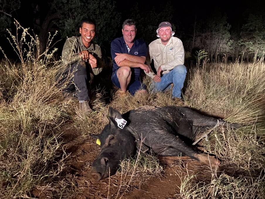 SQ Landscapes officers Lachlan Marshall, Darren Marshall and Aiden Sydenham with a feral pig captured as part of the foot and mouth disease simulation project. Picture: Supplied