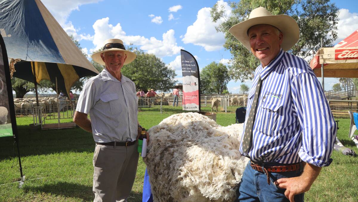Bob Little, Hughenden, and Nigel Brumpton, Mitchell are both unsure about the future of the shearing industry in Queensland. Picture: Sally Gall