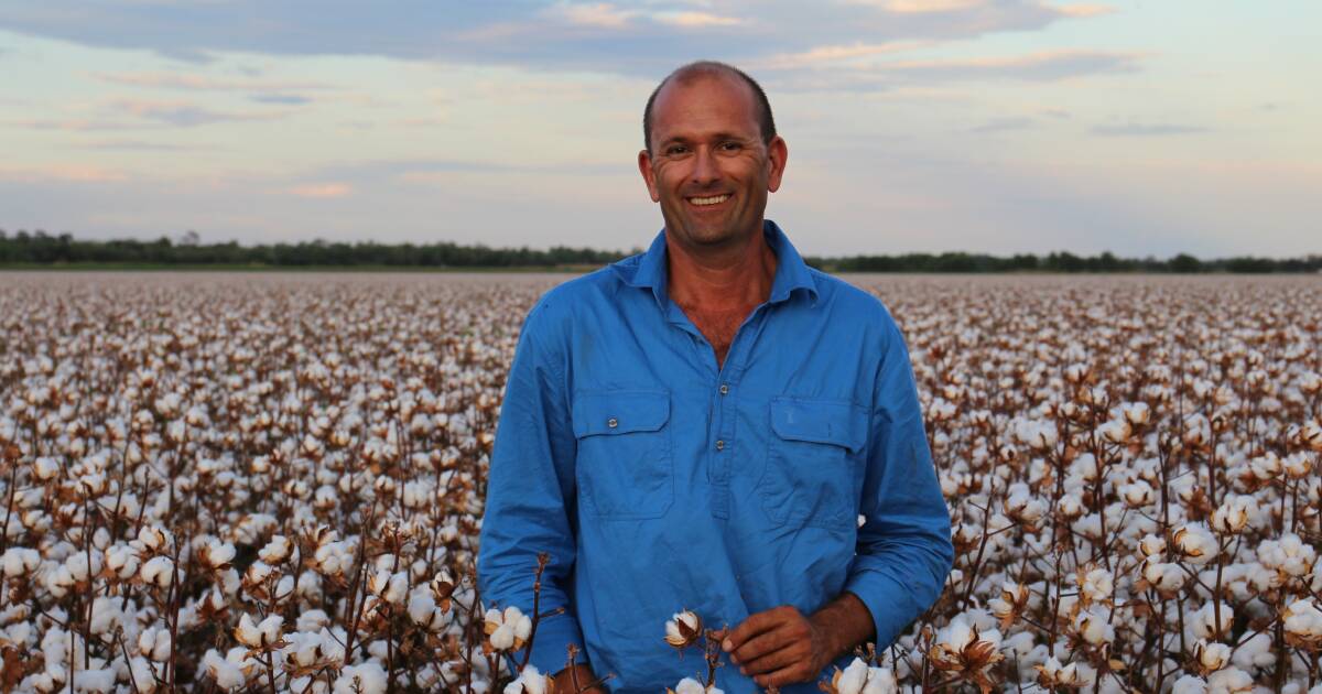 Central Queensland Cotton Growers Celebrate Record Yields Queensland