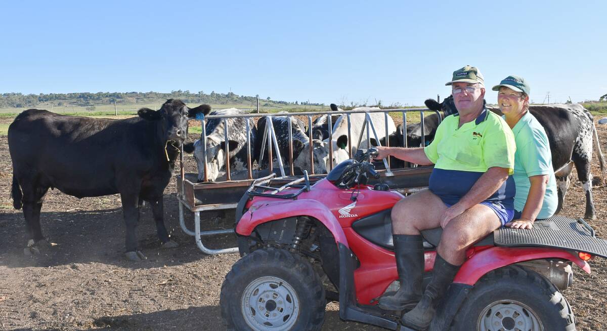 Ian and Trudi Brown had run dairy cattle for decades before focusing on a beef cattle operation. Picture: Billy Jupp 