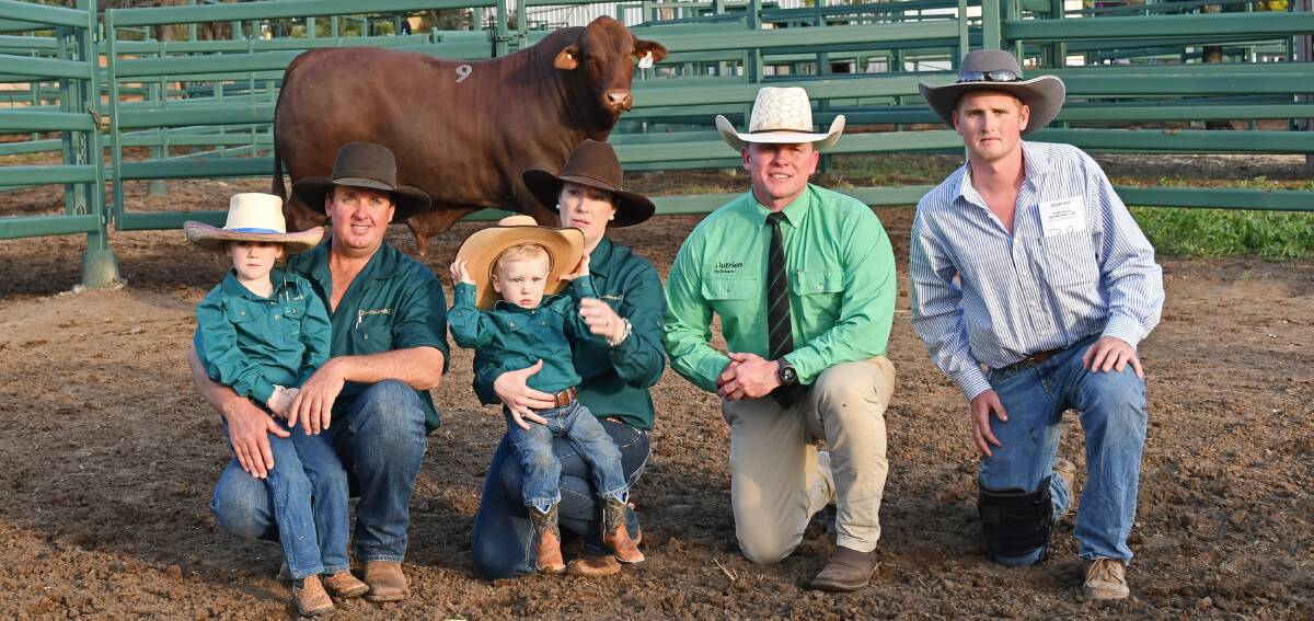 Vendors, Lilly, Ben, Mitchell and Amanda Adams, Dangarfield Santa Gertrudis stud, Kingswood, Taroom, auctioneer Colby Ede, Nutrien Ag Solutions, Toowoomba, and buyer on behalf of Ryalsea Santa Gertrudis stud Lachlan Martin, Inverell, NSW with the top price bull. Picture: Billy Jupp 
