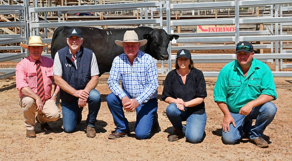 Auctioneer Michael Smith, Elders Stud Stock, Toowoomba, Introvigne Grazing Co's Rob Introvigne, buyer Andrew Moore, Lucrana Simmentals, Texas, Introvigne Grazing Co's Diane Introvigne and Bonnydale's Jake Berghofer with the top-price bull. Picture by Billy Jupp 