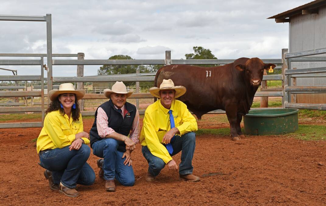 Vendors Elisa and Chris Fox (right), Cooinda Santa Gertrudis stud, Proston, with auctioneer Cyril Close, Top X Roma and the top selling bull, which was purchased by Mooroongie Grazing, Eidsvold for $25,000. Picture by Billy Jupp 