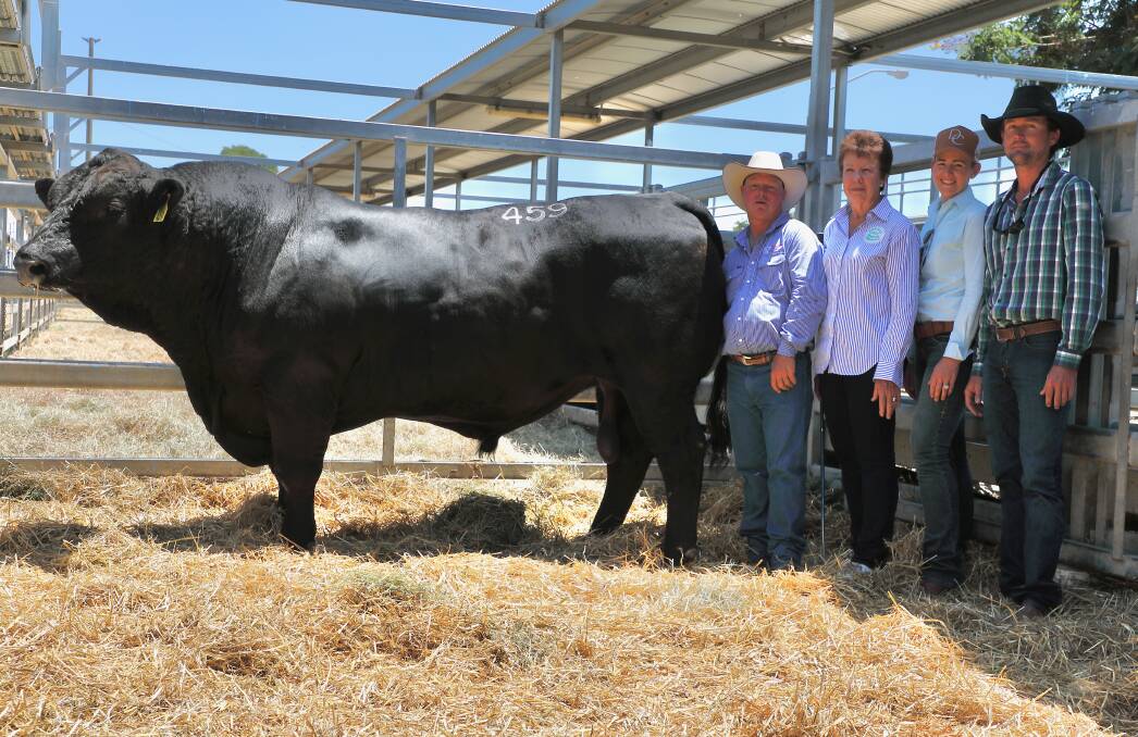 The record breaking $50,000 Simmental entry, Eden Hills Rissole with Les Lee, Leegra Fitting Service, Silverleaf, vendor, Janet Newlands, Eden Hills stud, Upper Pilton and purchasers, Anna and Robbie Hick, St Elmo Pastoral Group, Julia Creek. Picture by Kent Ward