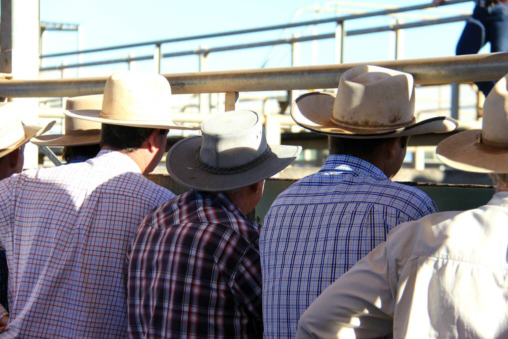 Prices remain firm at Gympie cattle sale | Queensland Country Life | QLD