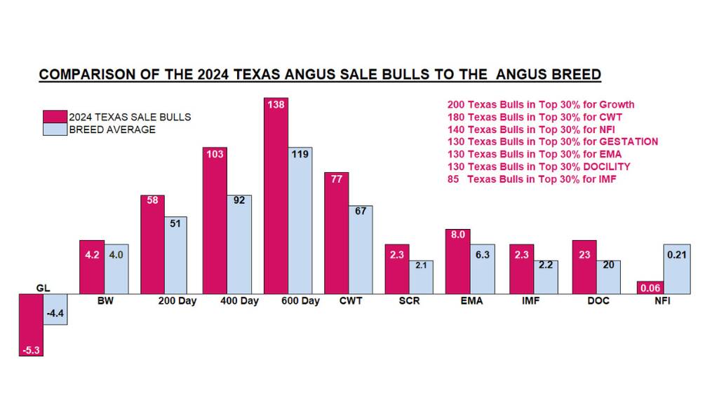 Estimated breeding values for the Texas Angus 2024 sale bulls compared to the Angus breed average. Picture supplied