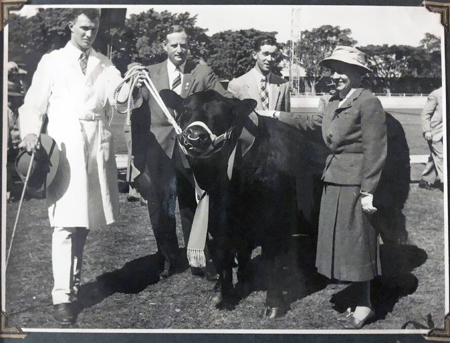 Bill Mayne showing a Gibraltar bull at Brisbane Royal. Bill reformed Texas Angus with 21 stud cows with heifer calves from the Gibraltar dispersal. Picture supplied