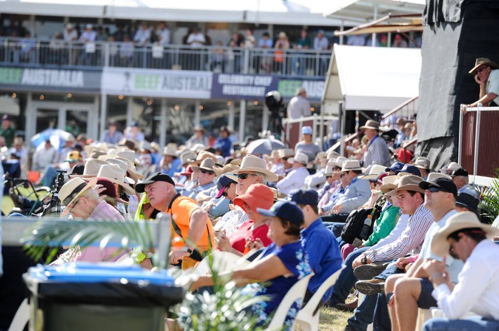 Beef 2021 generated $94 million in direct and incremental expenditure for the Rockhampton region and $59.5 million for Queensland. Picture by Lucy Kinbacher