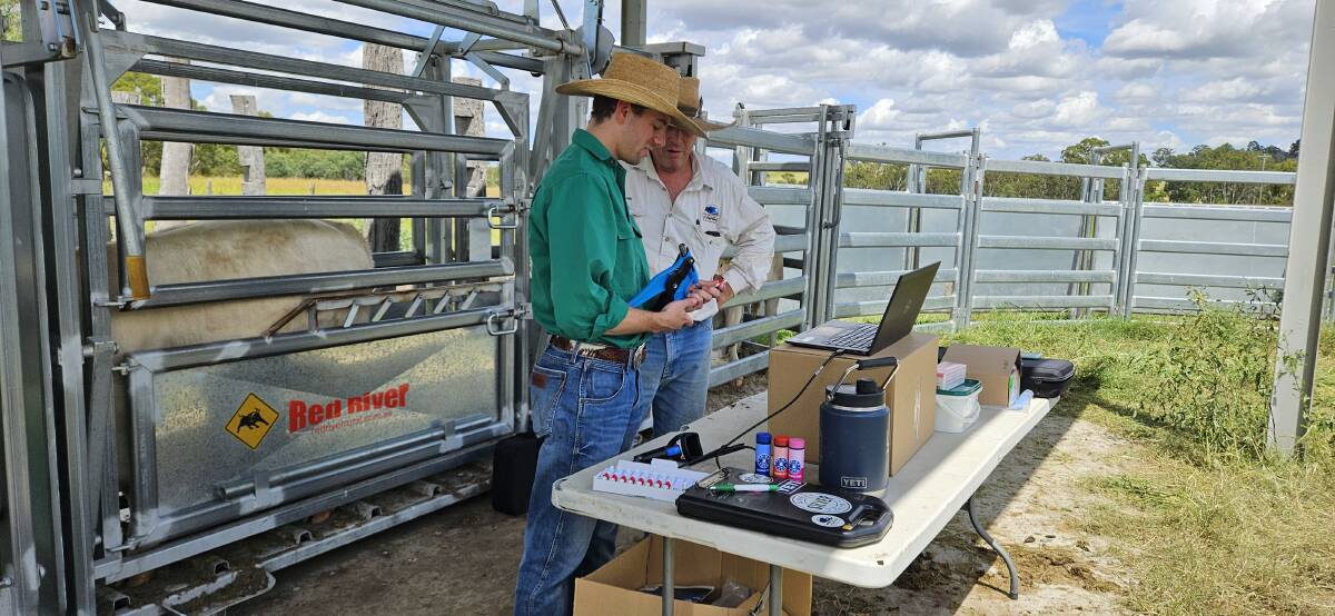 Neogen territory managers work closely with seedstock and commercial producers. Picture supplied