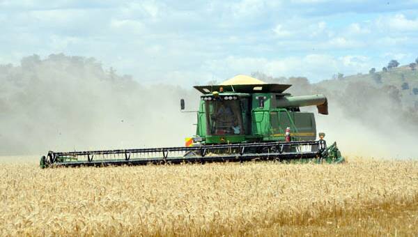 Russian wheat export tax looms