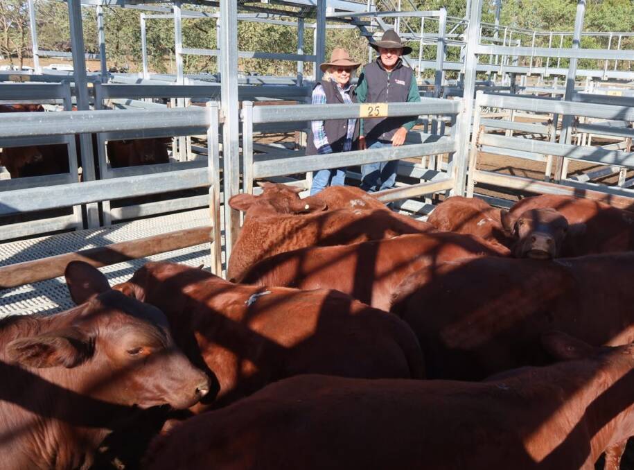 Trevor and Sue Whitehall sold Santa Gertrudis weaner steers for $1110.