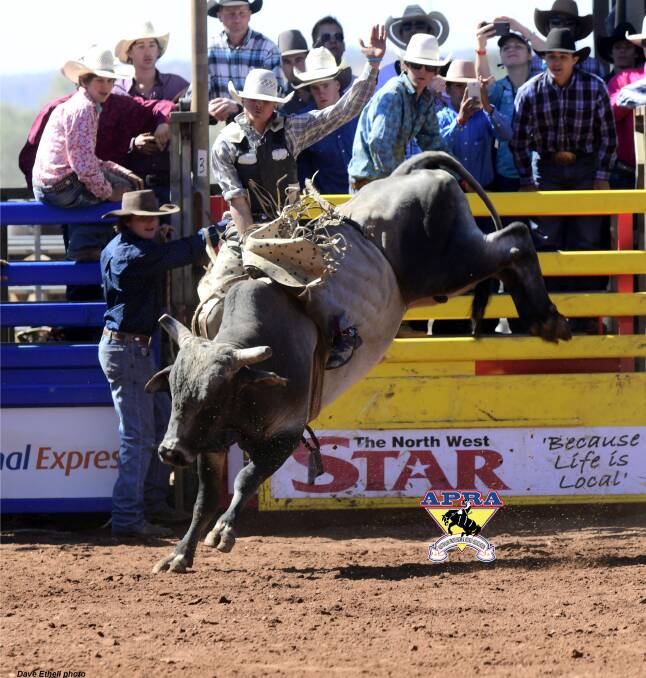 Jay Borghero ended up equal third in the bull ride final at Mt Isa last year. He and brother Jared will compete at Roma and Emerald over Easter. Picture: Dave Ethell 