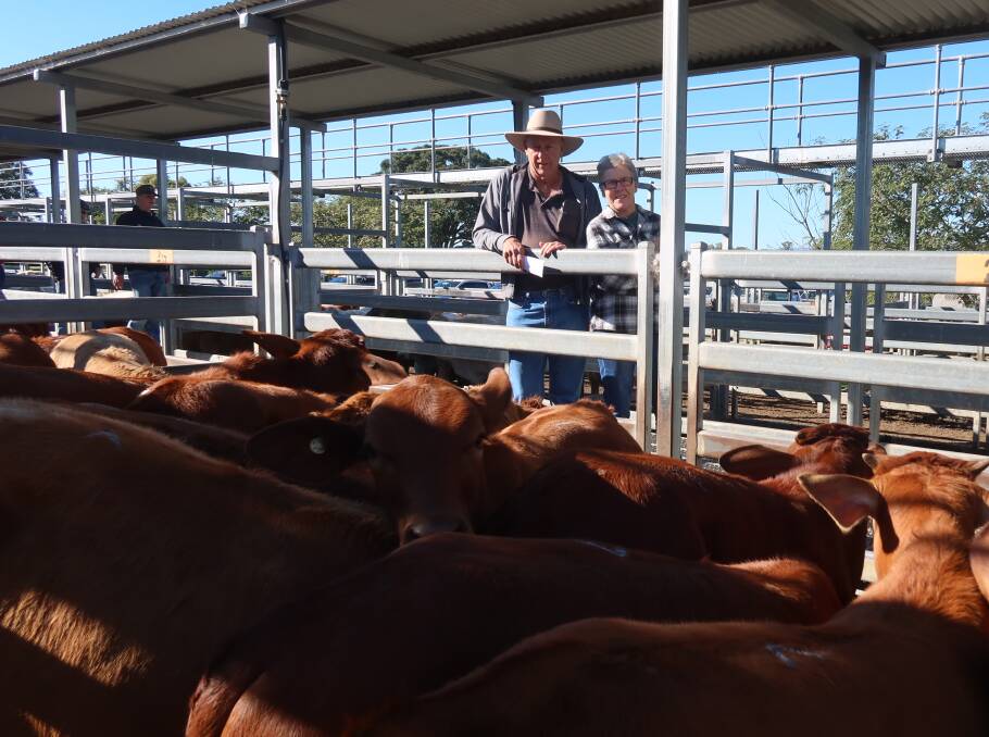 Peter and Alyson Moore sold Droughtmaster weaner steers for $840. Picture supplied