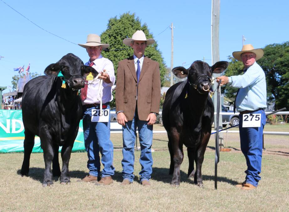 Reserve Junior Champion Female, Beejay Ladybird, Greg Magee, Capella, Graham Harvey, Judge, Junior Champion Female, Diamond Valley Miss Foundation, Les Lee, Leegra Fitting Services. Picture: Julie Sheehan