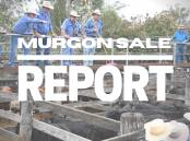 Export cattle dearer at Murgon