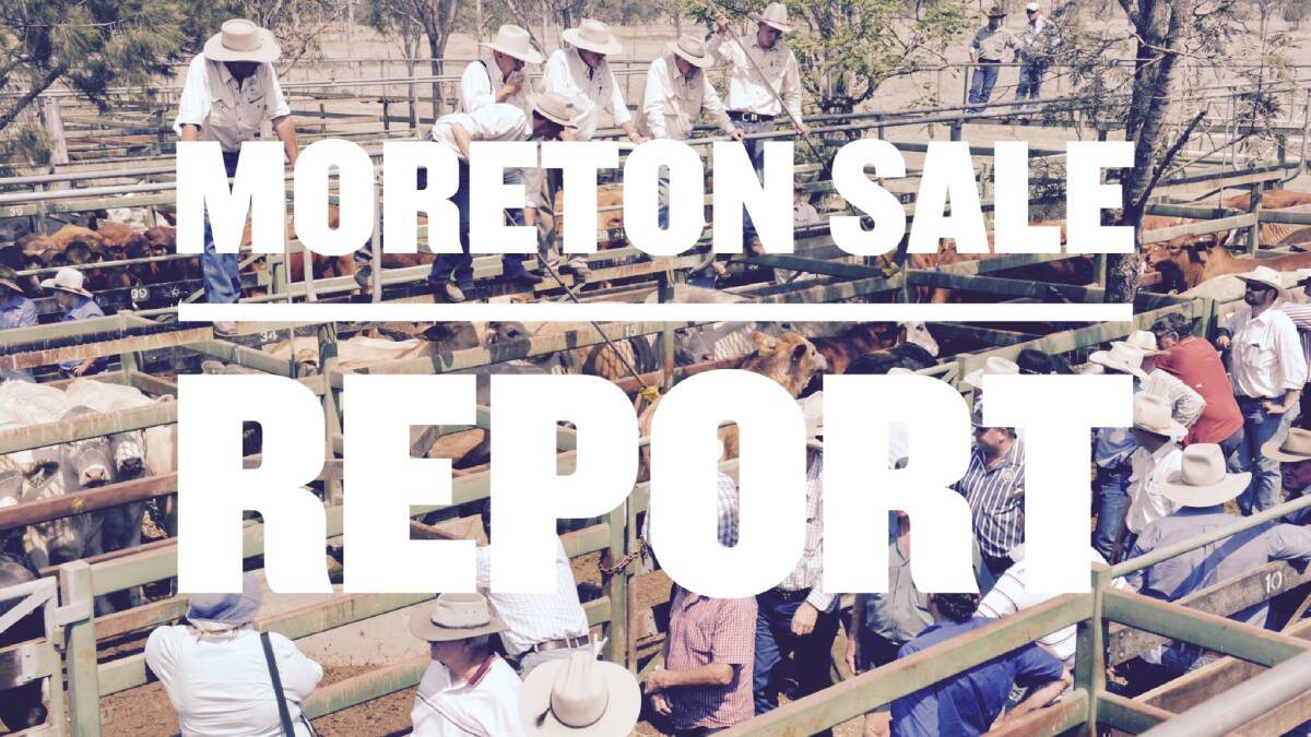 Weaner steers hit 371.2c at Moreton