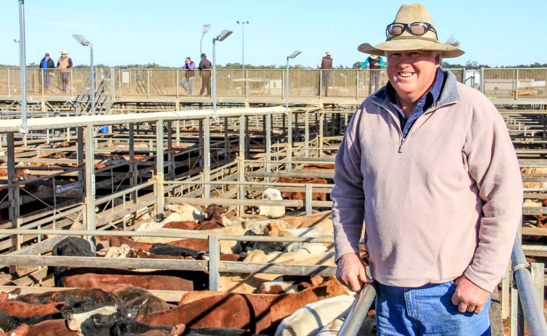 ROMA STORE SALE: John McEwan, Wyoming, Roma sold 84 cross bred steers for 328c/kg at 430kg to return $1415/hd. Picture: Lucy Kinbacher