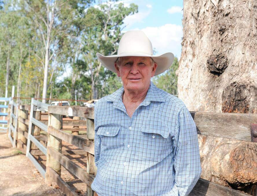 AgForce Cattle president Peter Hall said he was pleased the state budget had allocated DAF $1.3m to update and develop a new Branding Information System. Picture: QCL File
