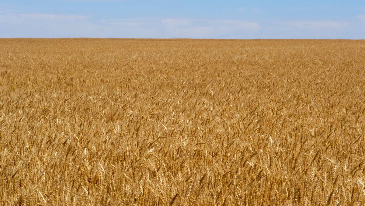 Weather concerns drive all grain prices higher