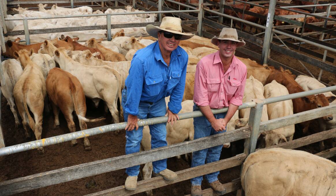 Vendor David East and Elders Longreach agent Tom Cameron with a line of DG and GH East steers that sold to 520c/kg, reaching a top of $1583 to average $1380.