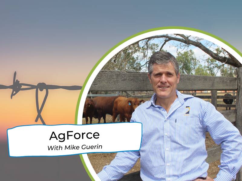 AgForce bewildered by lack of progress on Basin threat