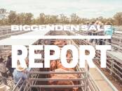 Weaner steers sell to 398c/kg at Biggenden