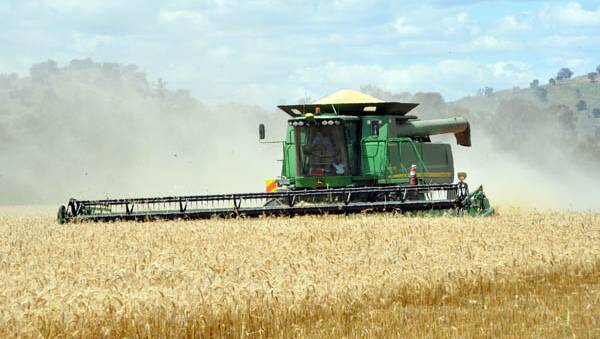 Weather takes toll on harvest