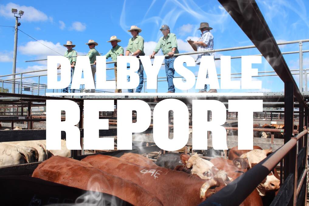Yearling steers to 296.2c, average 288.5c at Dalby