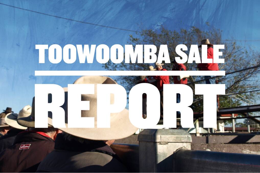 Hereford steers reach 414.2c at Toowoomba