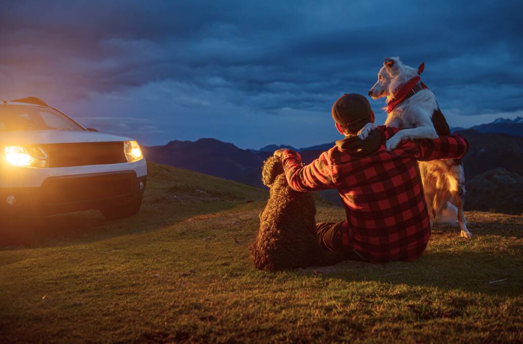 Explore Australias top 4x4 SUVs for adventure and comfort. Picture Shutterstock