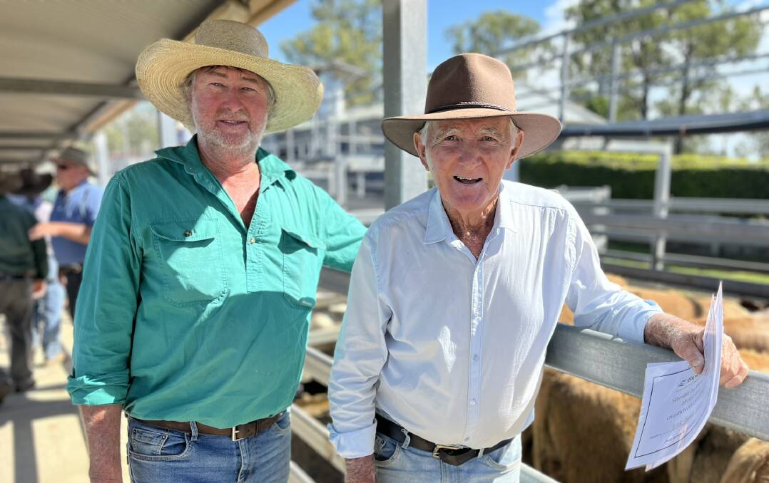 The Buhle family won champion pen of weaners with their pen of Charolais cross steers which made $1360. Pictured are Paul and Peter Buhle. Picture supplied by Hayes and Co 