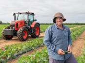 Bundaberg-based farmer Andrew Martens and his family operate a horticultural operation, stretching across two-thousand-acres of property and produces a variety of crops including seedless watermelons, zucchinis, macadamia nuts, and pumpkins. Picture supplied. 