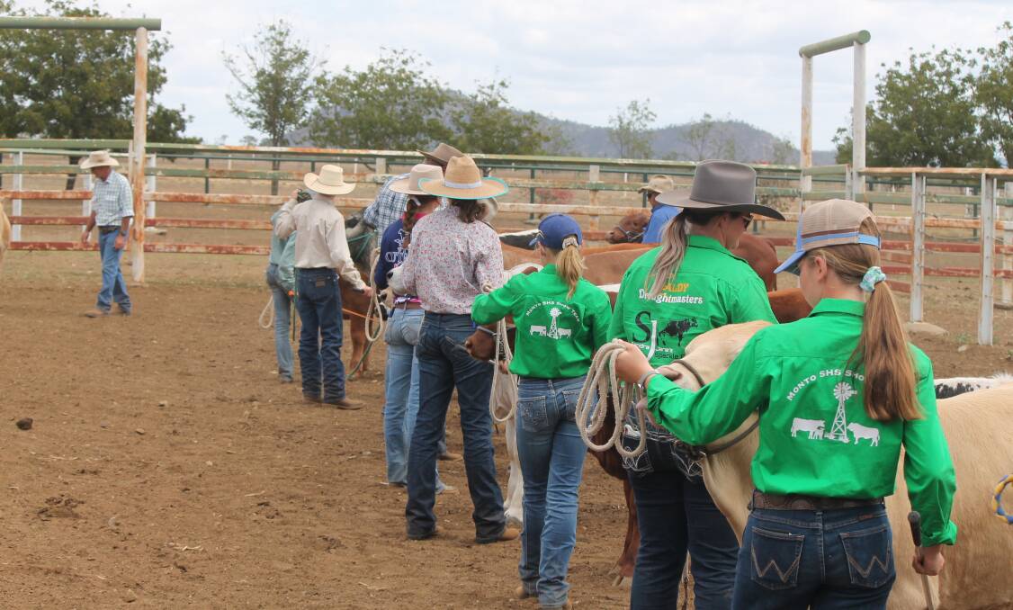 Rocky Junior Beef Show wraps up with students gaining valuable