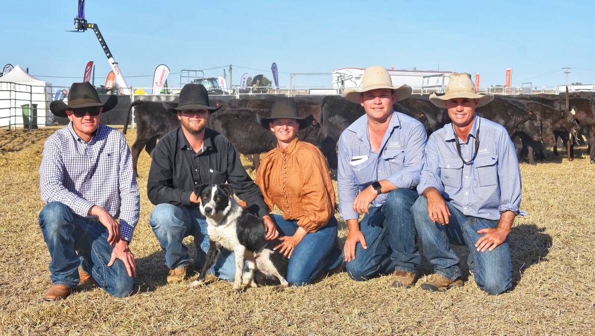 Top working dog, Systematic Steve, with buyer James Parker, Monto, vendors Sam Donovan and Cassie Kratzmann, Emerald, and GDL agents Matt Pearce and Will Hogan. Picture by Ben Harden 