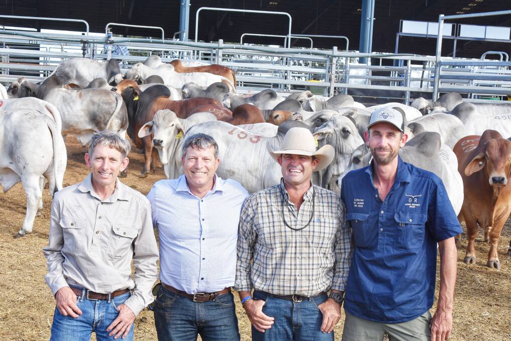 Rallen Australia's managing director Pierre Langenhoven, state operations manager Andrew Stubbs, Kalala Station manager Des Carey, and Larrizona Station manager Marcus Trevenen, with their pen of Brahman bulls at CQXL, Gracemere. Picture: Ben Harden 