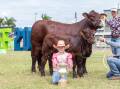 Kasey and Daniel Phillips, Murgona stud, Murgona Cattle Co, Wandoan, with their daughter, Taylor, 11, and their interbreed female champion exhibit, Murgona Queen Bee Q53 and her heifer calf. Picture: Kelly Walsh 